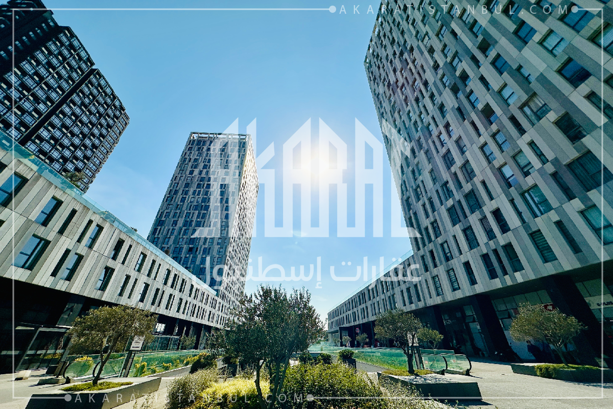 مشروع جي بلس- G PLUS