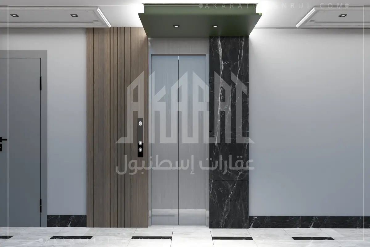 مشروع زيتين كوله - Zeytin Kule